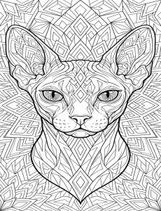 Coloriage Chat 22