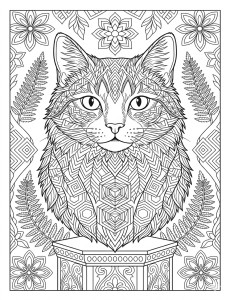 Coloriage Chat 25