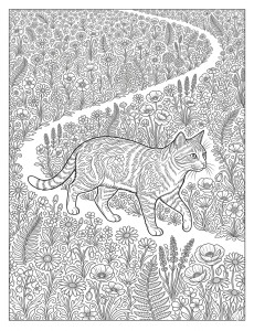 Coloriage Chat 2