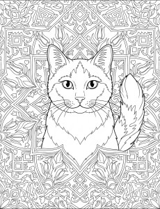 Coloriage Chat 41