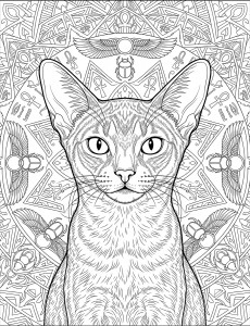 Coloriage Chat 46