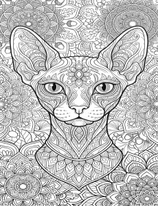 Coloriage Chat 49
