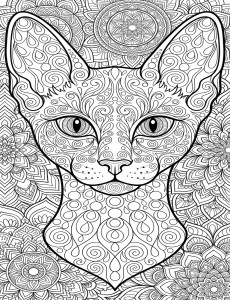 Coloriage Chat 52