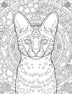 Coloriage Chat 53