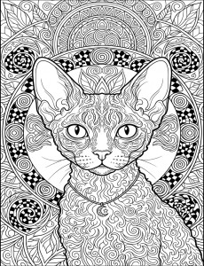 Coloriage Chat 55