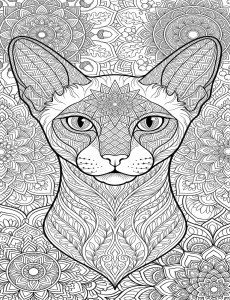 Coloriage Chat 57
