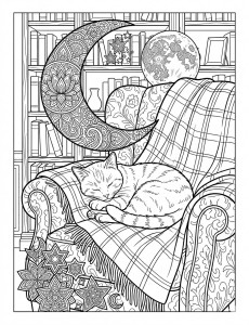 Coloriage Chat 62