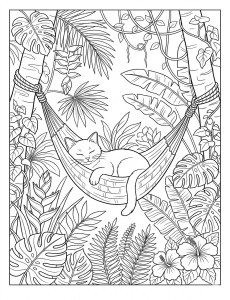 Coloriage Chat 63