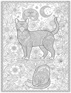 Coloriage Chat 71
