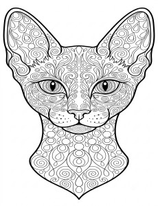 Coloriage Chat 22