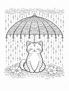 Coloriage Chat 8