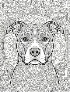Coloriage Chien 13