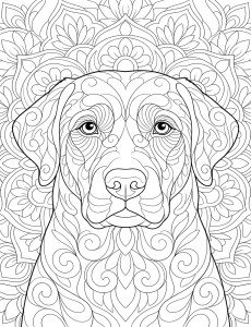 Coloriage Chien 15