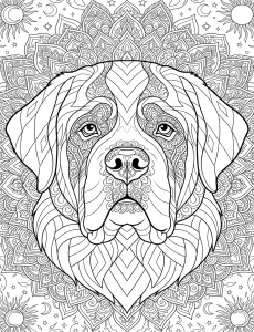 Coloriage Chien 16