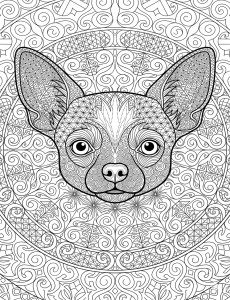 Coloriage Chien 17