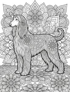Coloriage Chien 24