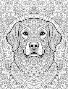 Coloriage Chien 25