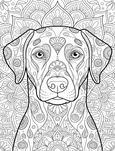 Coloriage Chien 3