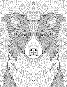 Coloriage Chien 6