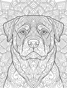 Coloriage Chien 9
